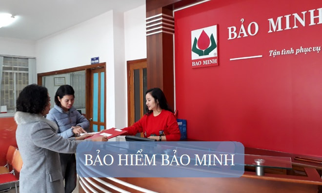 BMI năm 2025: Lợi nhuận tăng trưởng, danh mục tự doanh có gì hấp dẫn?